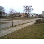 Zdjęcia użytkowników BenQ-Siemens EF81