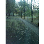 Zdjęcia użytkowników BlackBerry 9520 Storm2