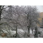 Zdjęcia użytkowników BlackBerry 9800 Torch