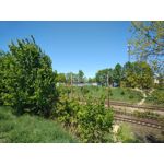 Zdjęcia użytkowników BlackBerry KEYone Limited Edition Black