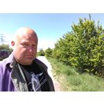 Zdjęcia użytkowników BlackBerry KEYone Limited Edition Black