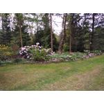 Zdjęcia użytkowników BlackBerry KEYone Limited Edition Black