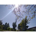 Zdjęcia użytkowników BlackBerry KEYone Limited Edition Black