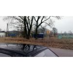 ZDJĘCIA Z TEGO TELEFONU