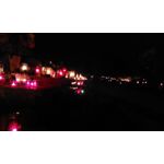 Zdjęcia użytkowników CAT B15Q