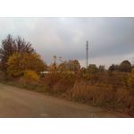 Zdjęcia użytkowników CAT S40