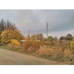 Zdjęcia użytkowników CAT S40