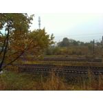 Zdjęcia użytkowników CAT S40