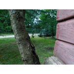 Zdjęcia użytkowników CAT S60