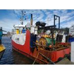 Zdjęcia użytkowników CAT S60