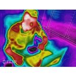 Zdjęcia użytkowników CAT S60