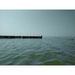 Zdjęcia użytkowników CAT S60