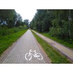 Zdjęcia użytkowników CAT S60