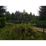 Zdjęcia użytkowników CAT S60