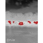 Zdjęcia użytkowników CAT S60