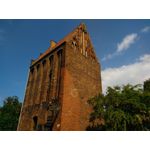 Zdjęcia użytkowników CAT S60