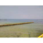 Zdjęcia użytkowników CAT S60