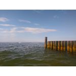 Zdjęcia użytkowników CAT S60