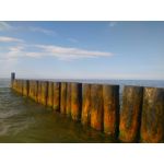 Zdjęcia użytkowników CAT S60