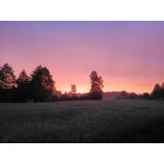 Zdjęcia użytkowników CAT S60