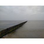 Zdjęcia użytkowników CAT S60