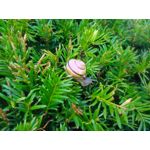 Zdjęcia użytkowników CAT S60