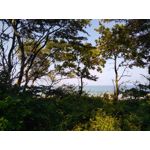 Zdjęcia użytkowników CAT S60