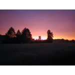 Zdjęcia użytkowników CAT S60