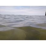 Zdjęcia użytkowników CAT S60