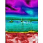 Zdjęcia użytkowników CAT S60