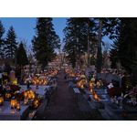 Zdjęcia użytkowników cmf Phone 1