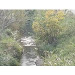 Zdjęcia użytkowników cmf Phone 1