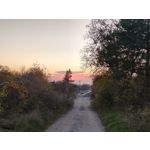 Zdjęcia użytkowników cmf Phone 1