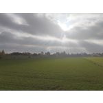 Zdjęcia użytkowników cmf Phone 1