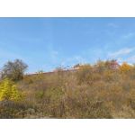 Zdjęcia użytkowników cmf Phone 1