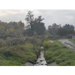 Zdjęcia użytkowników cmf Phone 1