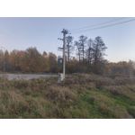ZDJĘCIA Z TEGO TELEFONU