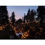 Zdjęcia użytkowników cmf Phone 1