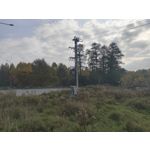 Zdjęcia użytkowników cmf Phone 1