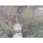 Zdjęcia użytkowników cmf Phone 1