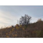 Zdjęcia użytkowników cmf Phone 1