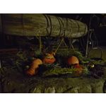 Zdjęcia użytkowników cmf Phone 1