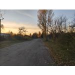 Zdjęcia użytkowników cmf Phone 1