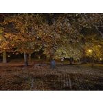 Zdjęcia użytkowników cmf Phone 1