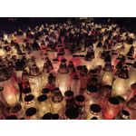 Zdjęcia użytkowników cmf Phone 1