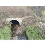 Zdjęcia użytkowników cmf Phone 1