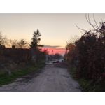 Zdjęcia użytkowników cmf Phone 1