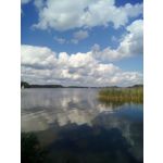 Zdjęcia użytkowników Coolpad Modena 2