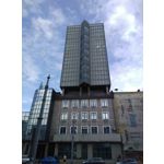 Zdjęcia użytkowników Coolpad Torino