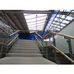 Zdjęcia użytkowników Coolpad Torino